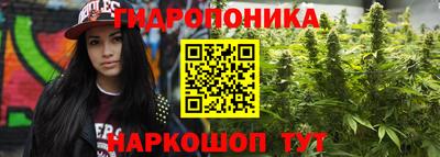 прущие крисы Новокубанск