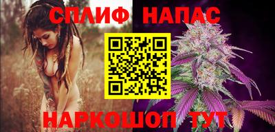 трава Новозыбков