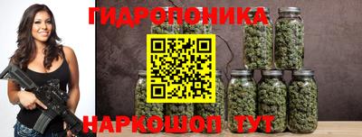 прущие крисы Новокубанск