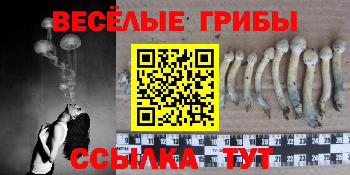 Галлюциногенные грибы мухоморы Чайковский